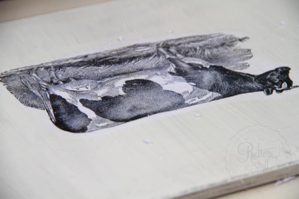 transfer graphics workshop 5