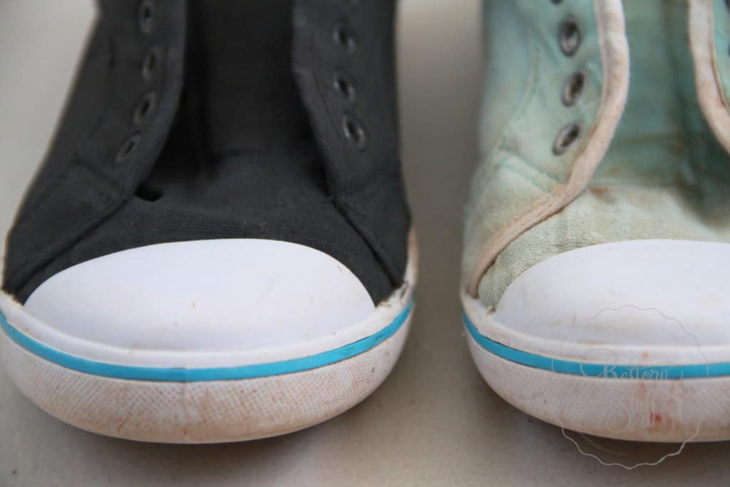 Ash - Tori Canvas shoes 5