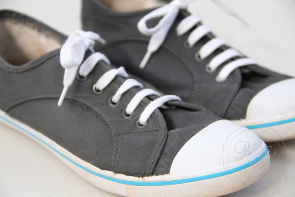 Ash - Tori Canvas shoes 8