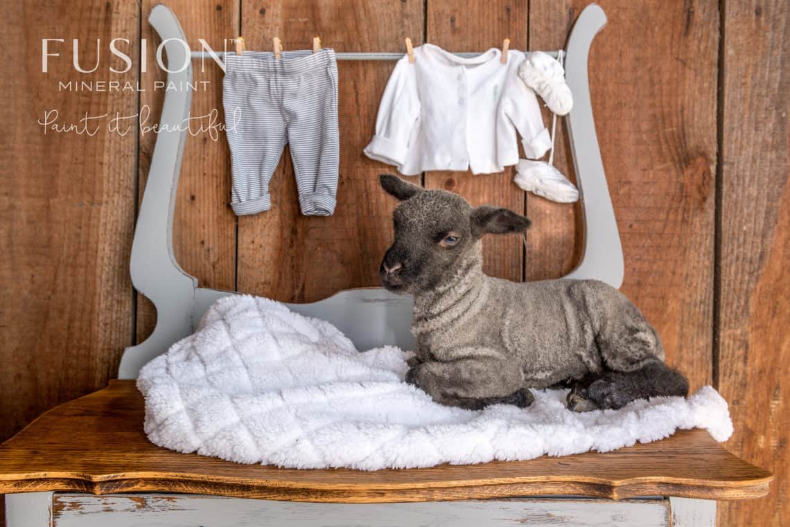 Little Lamb - Fusion Mineral Paint - Image 11