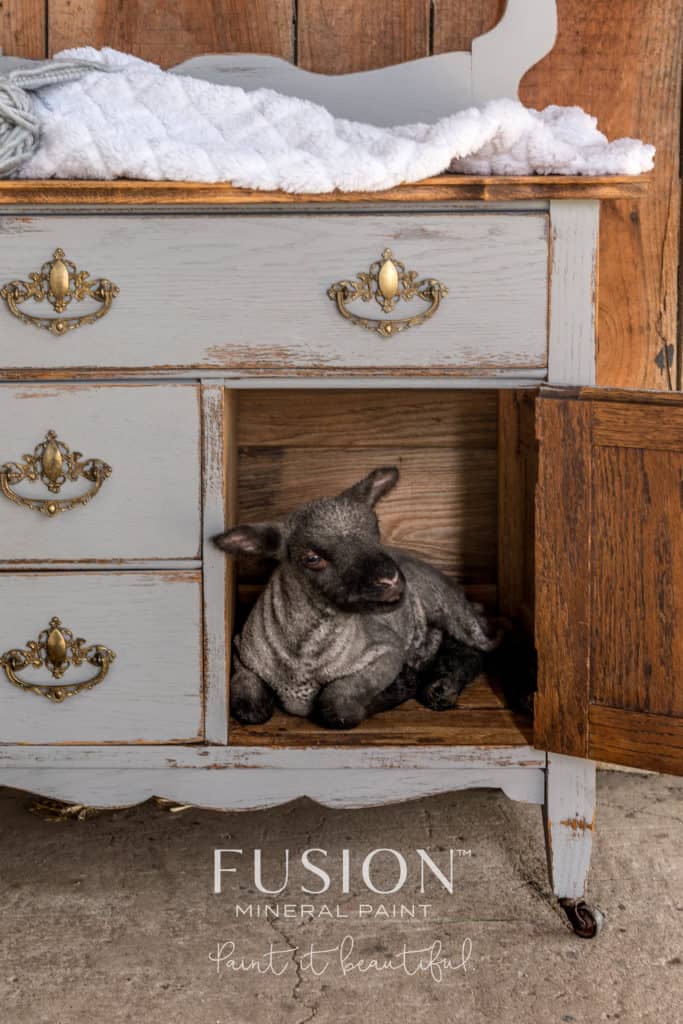 Little Lamb - Fusion Mineral Paint - Image 12