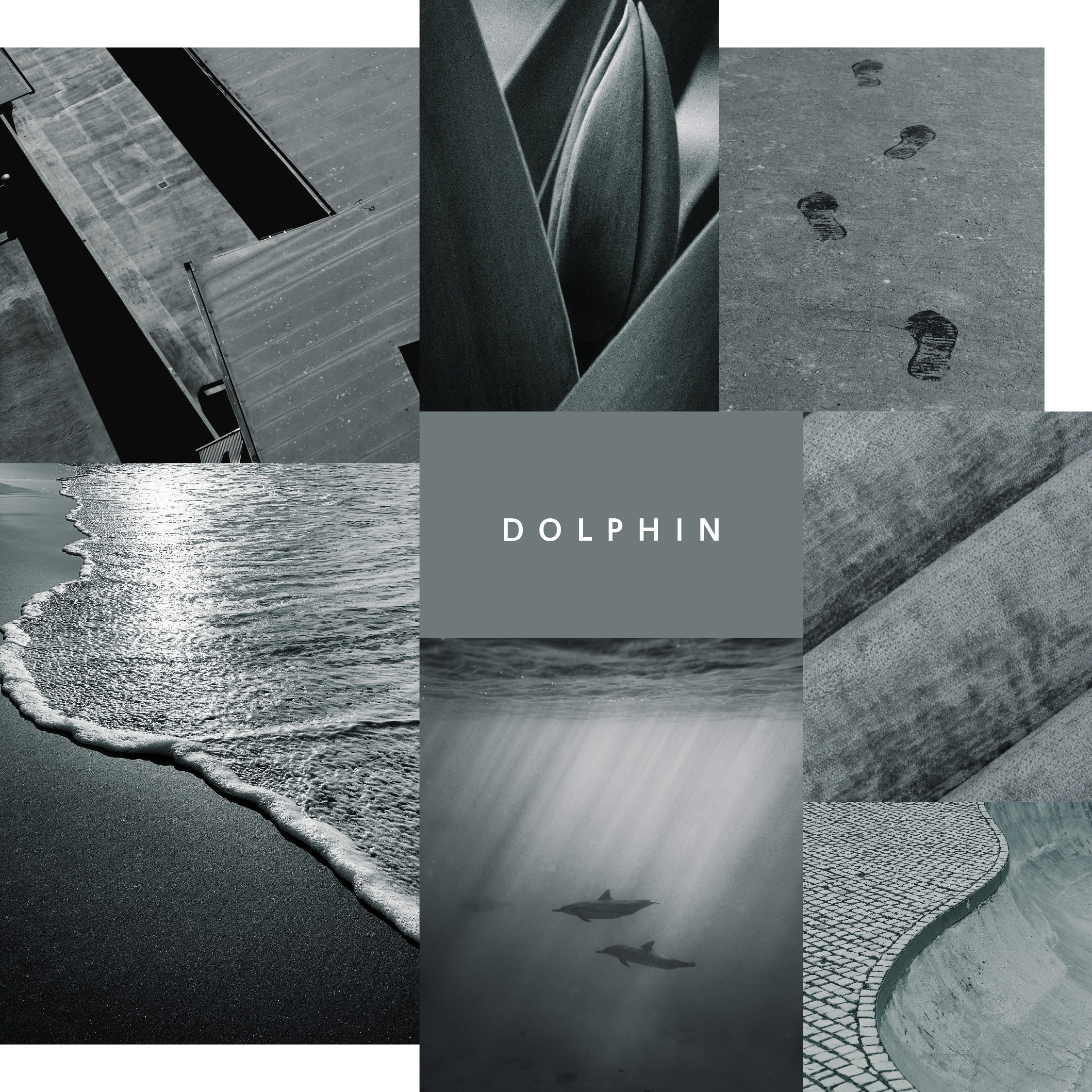 dolphin artisan collage